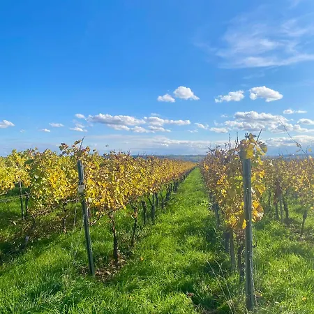 Lägenhet Kstay Loft Zentral In Eltville Mit Kostenlosem Parkplatz